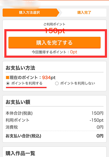ポイントでの購入画面